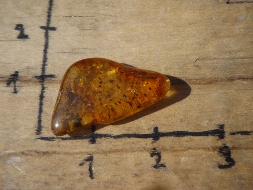 Pravý jantar B4433 — foto 3