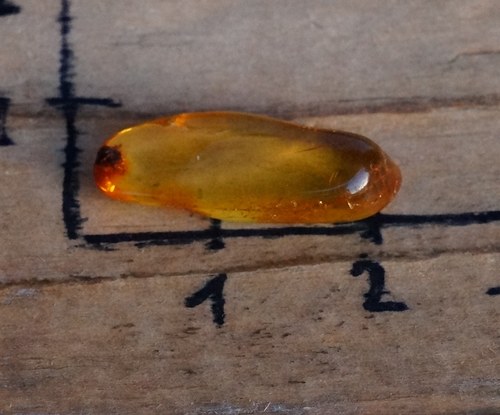 Pravý jantar B4462 — foto 2