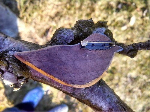 Brhlík (vyřezávaná brož) — foto 3