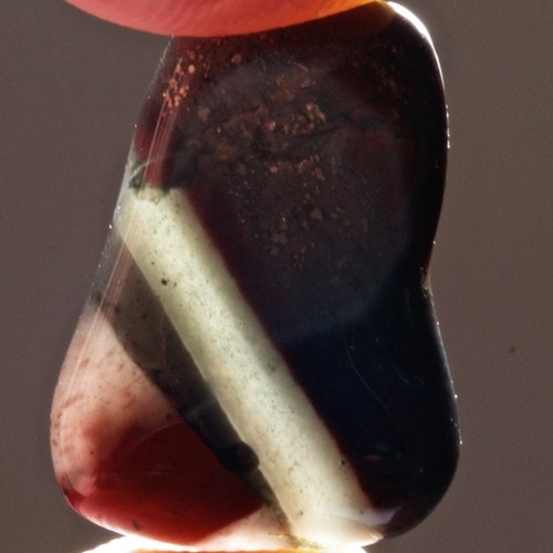 Heliotrop — foto 2