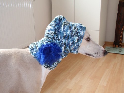 Kulíšek - ballyhone rainbow blue — foto 2