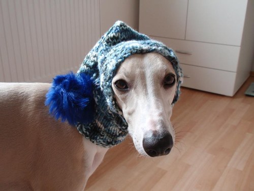 Kulíšek - ballyhone rainbow blue — foto 3