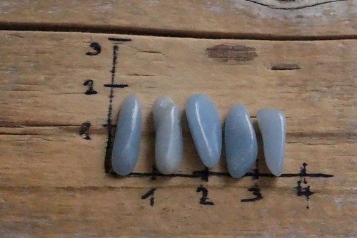 Sada -angelit B4743 — foto 2