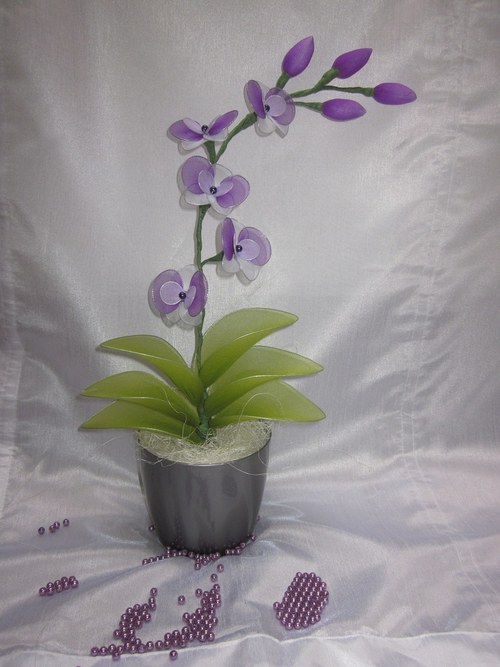 ***Fialovo-Bílá Orchidej*** — foto 2