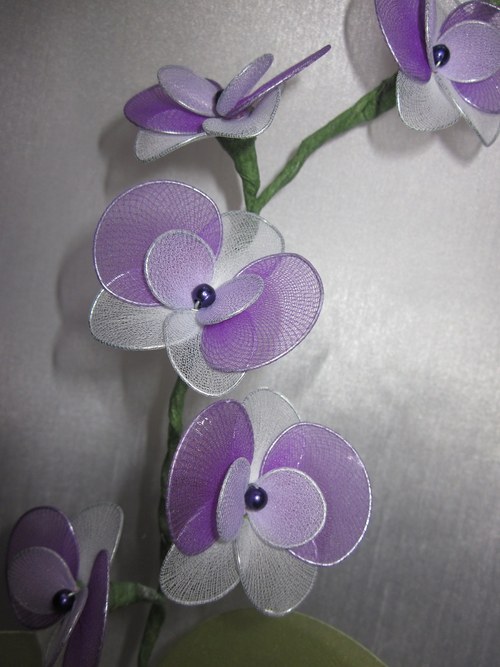 ***Fialovo-Bílá Orchidej*** — foto 3