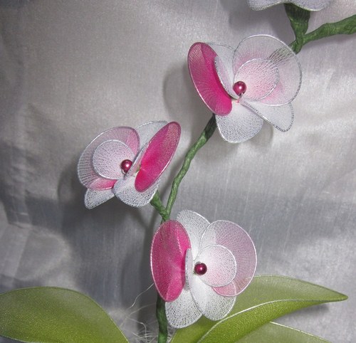 ***BÍLO-RŮŽOVÁ ORCHIDEJ*** — foto 2