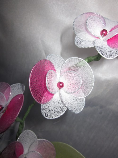 ***BÍLO-RŮŽOVÁ ORCHIDEJ*** — foto 3