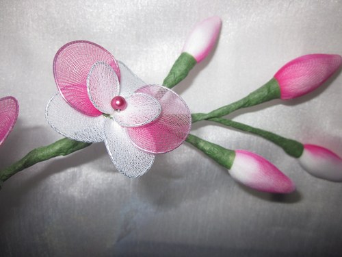 ***BÍLO-RŮŽOVÁ ORCHIDEJ*** — foto 4