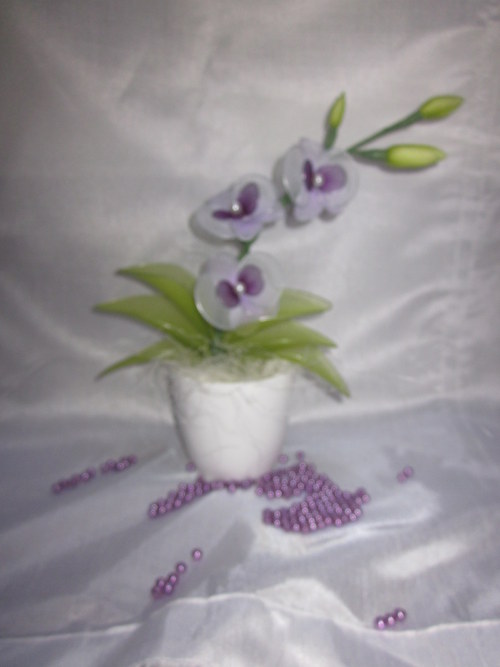 ***Mini Orchidej*** — foto 3