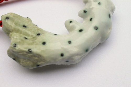 Tečkovaný rhizom — foto 2