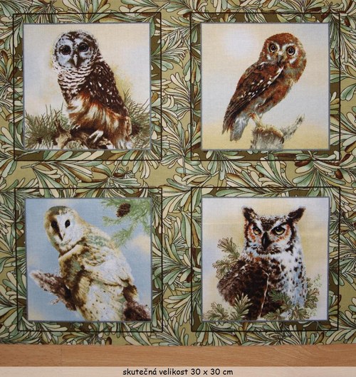 Owls of Wonder - panel — foto 2