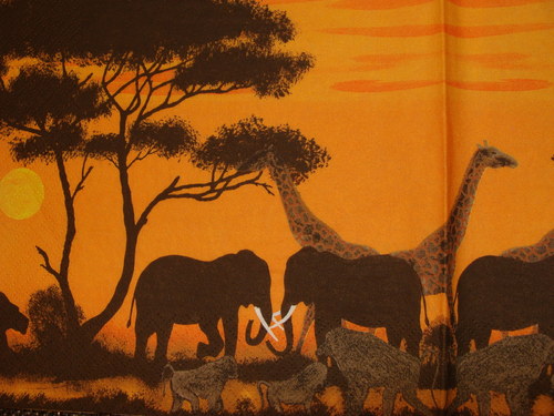 Safari I. — foto 2