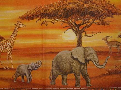 Safari II. — foto 2
