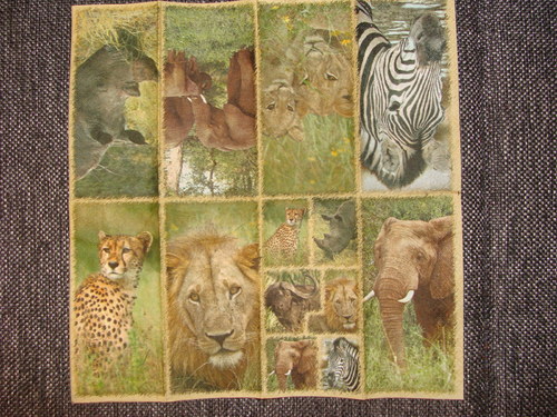 Safari V. — foto 2