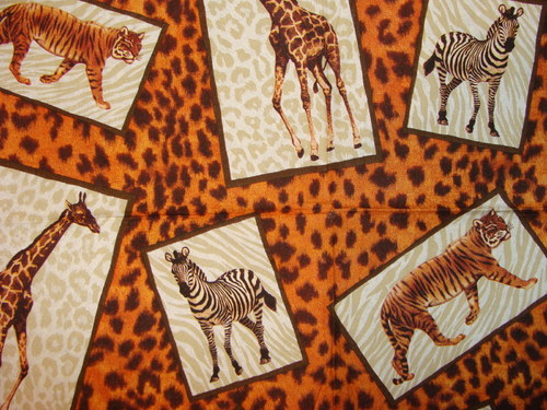 Safari - VI. — foto 2