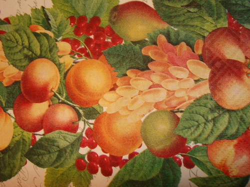 Podzimní úroda — foto 2