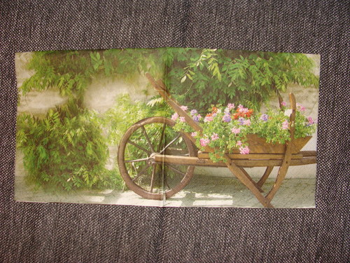 Rozkvetlý trakař — foto 2