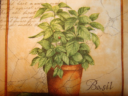 Bazalka — foto 2