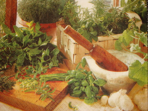 Bylinky v kuchyni — foto 2