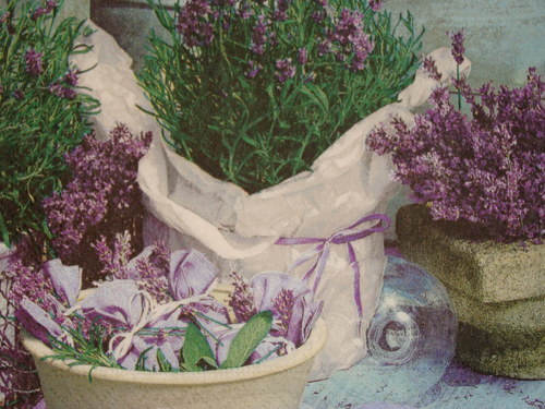 Levandulové zátiší — foto 2