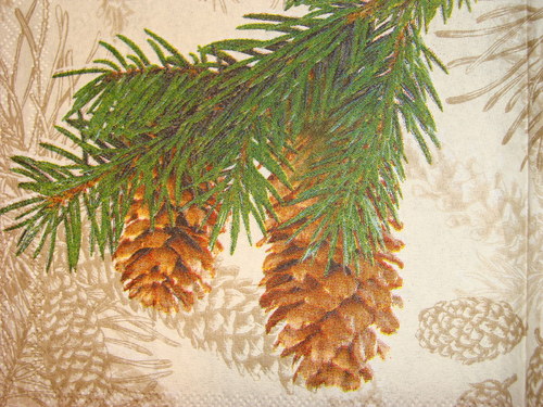 Šišky — foto 2