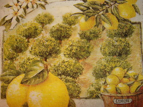 Citrony I. — foto 2