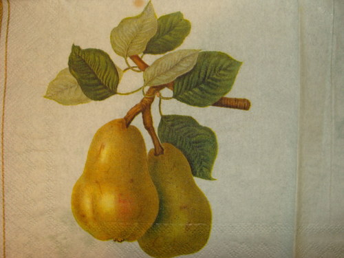 Ovoce — foto 2