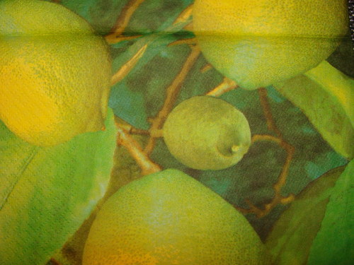 Citrony VI. — foto 2
