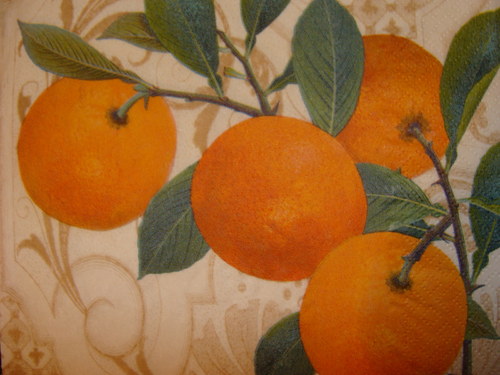 Pomeranče II. — foto 2