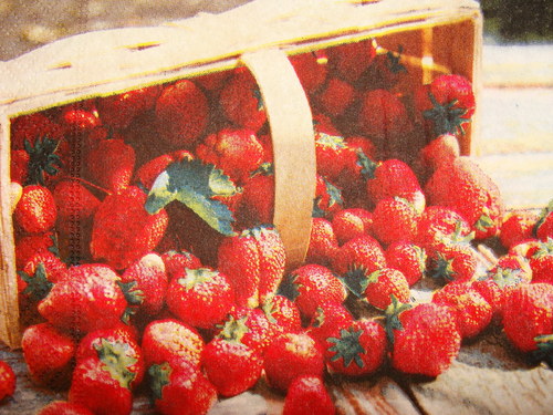 Jahody I. — foto 2