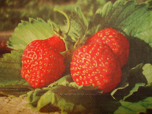 Jahody III. — foto 2
