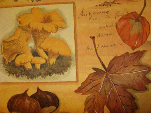 Lesní plody — foto 2