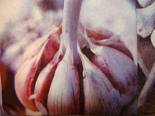 Česnek — foto 2