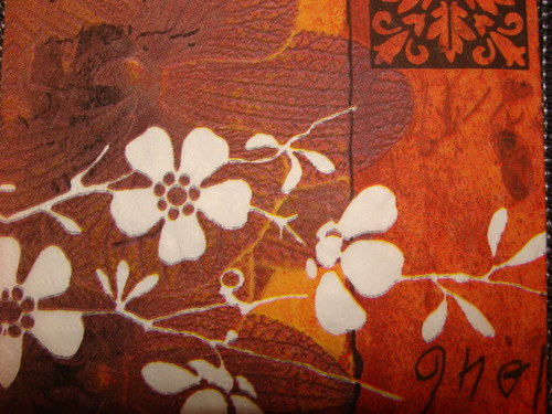 Hnědá orchidej — foto 2