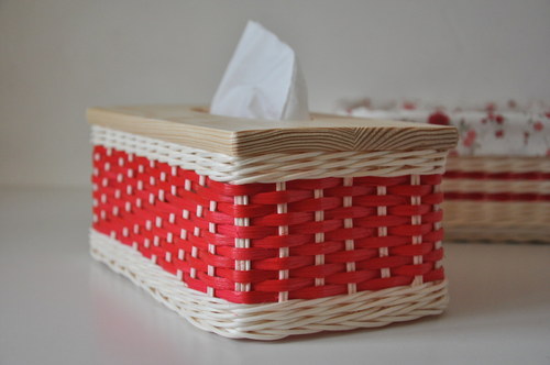 Kapesníkovník červenobílý — foto 2