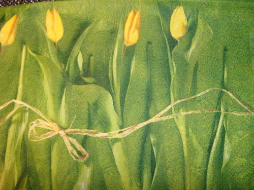 Žluté tulipány IV. — foto 2