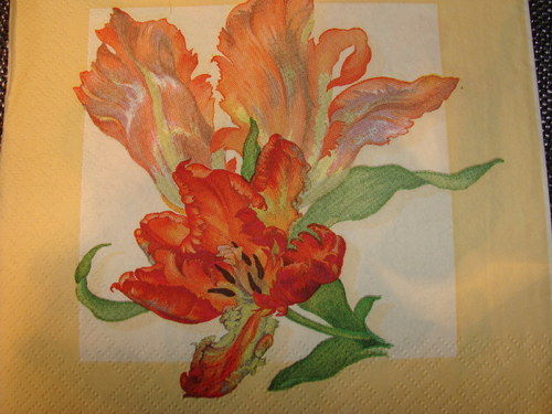Rozevřené květy — foto 2