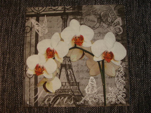 Bílé orchideje a Paříž — foto 2
