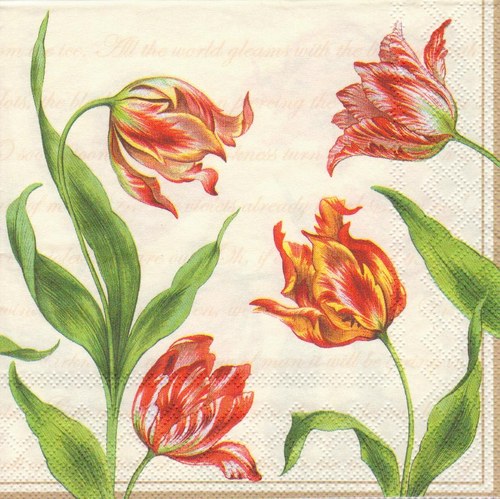 Ubrousek - tulipány — foto 2