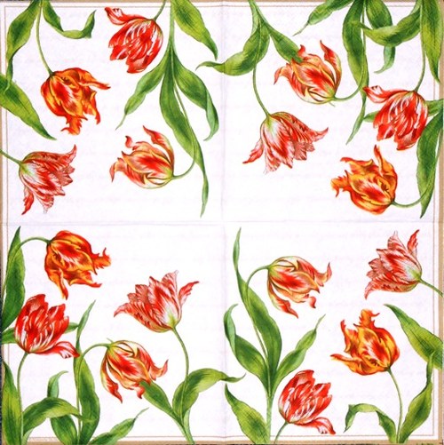 Ubrousek - tulipány — foto 3