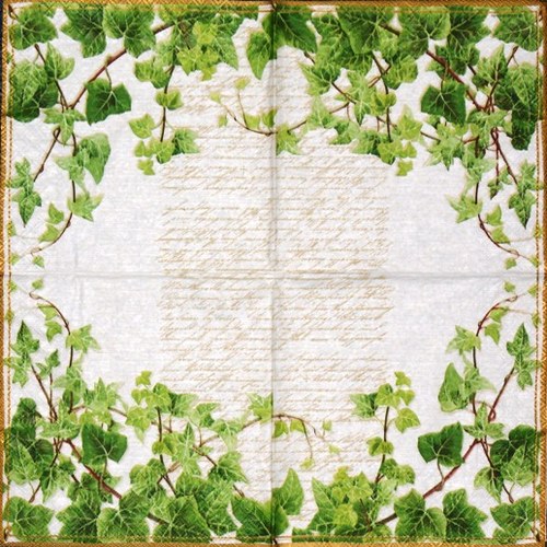 Ubrousek - břečťan — foto 2