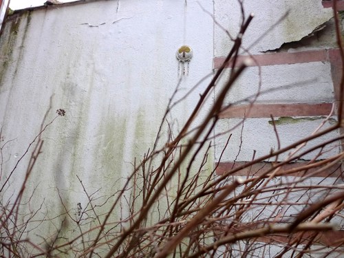 Na větvičku. — foto 6