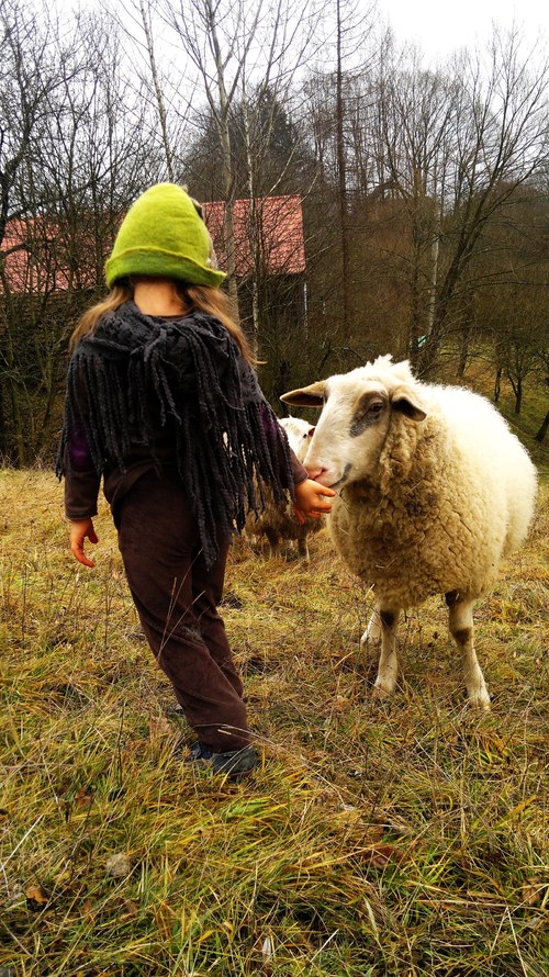 Zaječí klobúk — foto 6