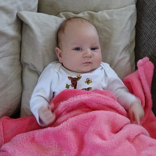 Dětská deka růžová — foto 2
