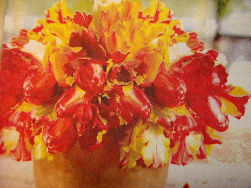 Červenožluté tulipány — foto 2