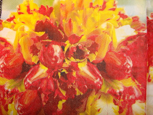 Červenožluté tulipány — foto 3