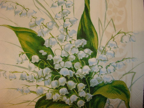 Konvalinky — foto 2