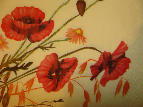Luční kvítí — foto 2