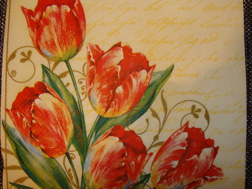 Červené tulipány — foto 2