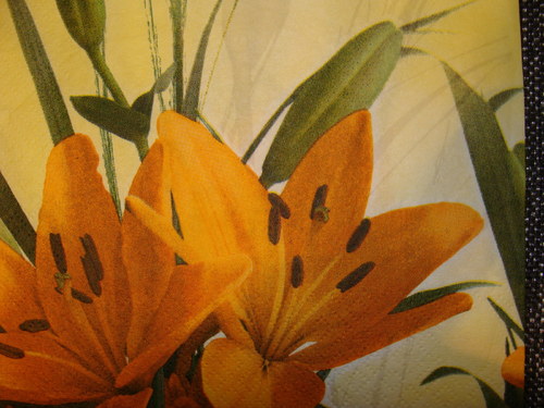 Oranžové lilie — foto 2